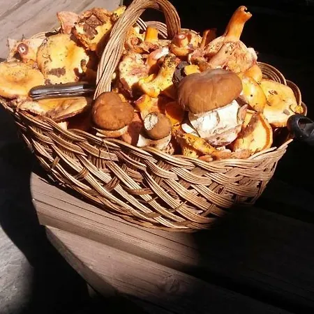 Araceli Kır Evi Yésero