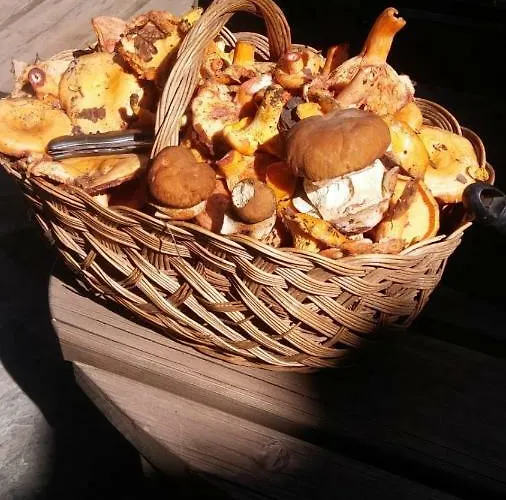 Araceli Casa rural Yésero